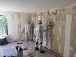 Best Forensic Mold Investigation  in Capac, MI